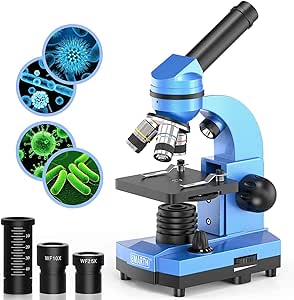 CBD Products Full Set